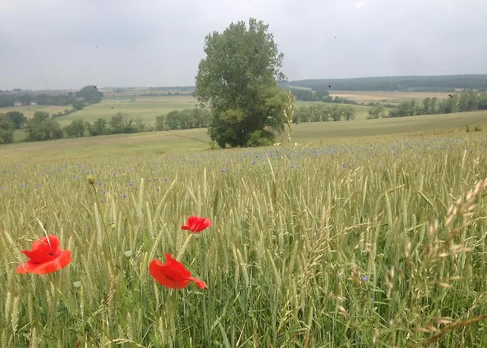Ferme Aux Moines