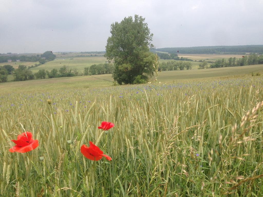 Hébergement de vacances Ferme Aux Moines